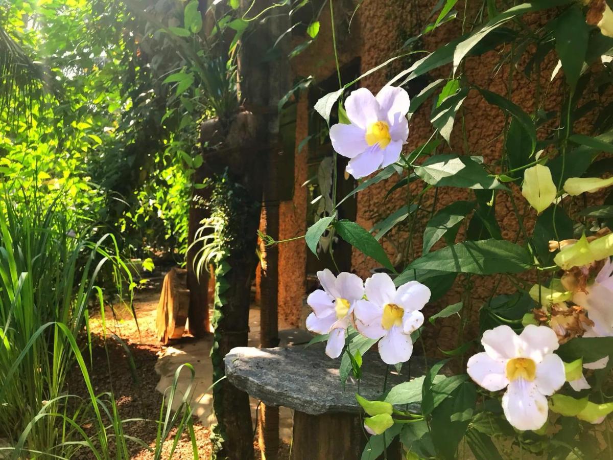 Willa Earth House Sri Lanka Neboda Zewnętrze zdjęcie
