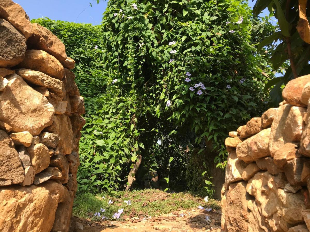 Willa Earth House Sri Lanka Neboda Zewnętrze zdjęcie