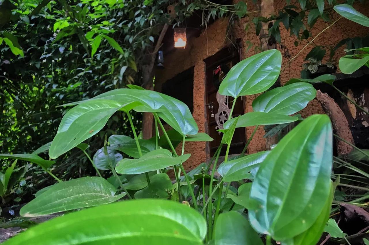 Willa Earth House Sri Lanka Neboda Zewnętrze zdjęcie