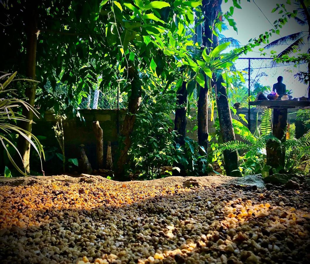 Willa Earth House Sri Lanka Neboda Zewnętrze zdjęcie