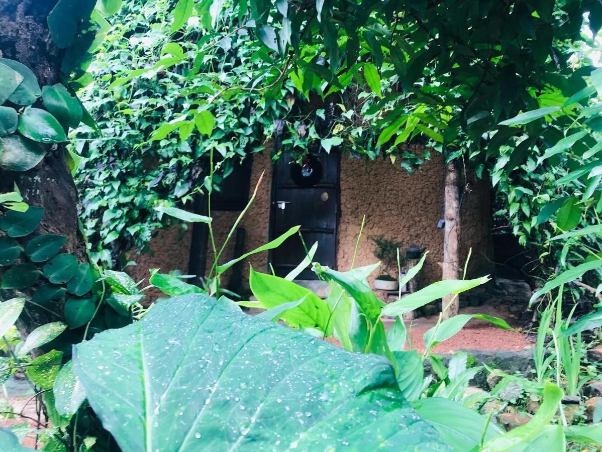 Willa Earth House Sri Lanka Neboda Zewnętrze zdjęcie