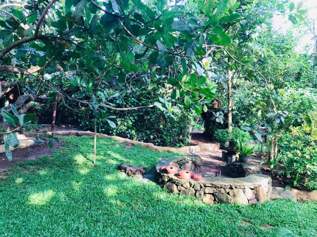 Willa Earth House Sri Lanka Neboda Zewnętrze zdjęcie