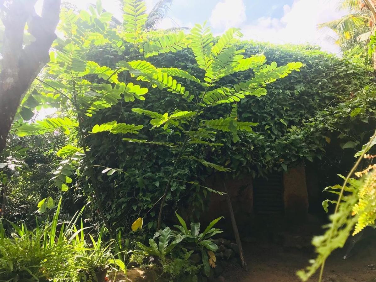Willa Earth House Sri Lanka Neboda Zewnętrze zdjęcie