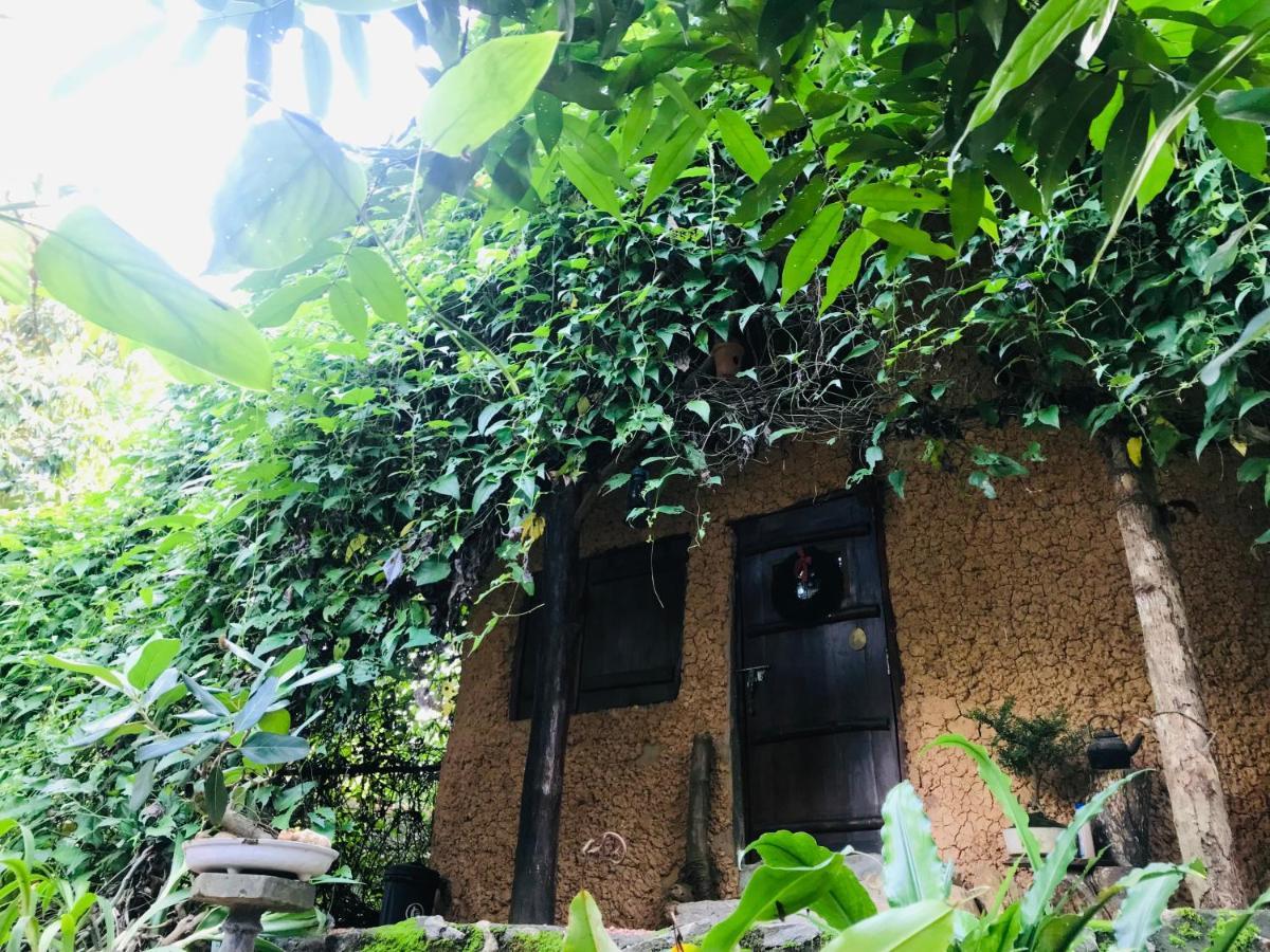Willa Earth House Sri Lanka Neboda Zewnętrze zdjęcie